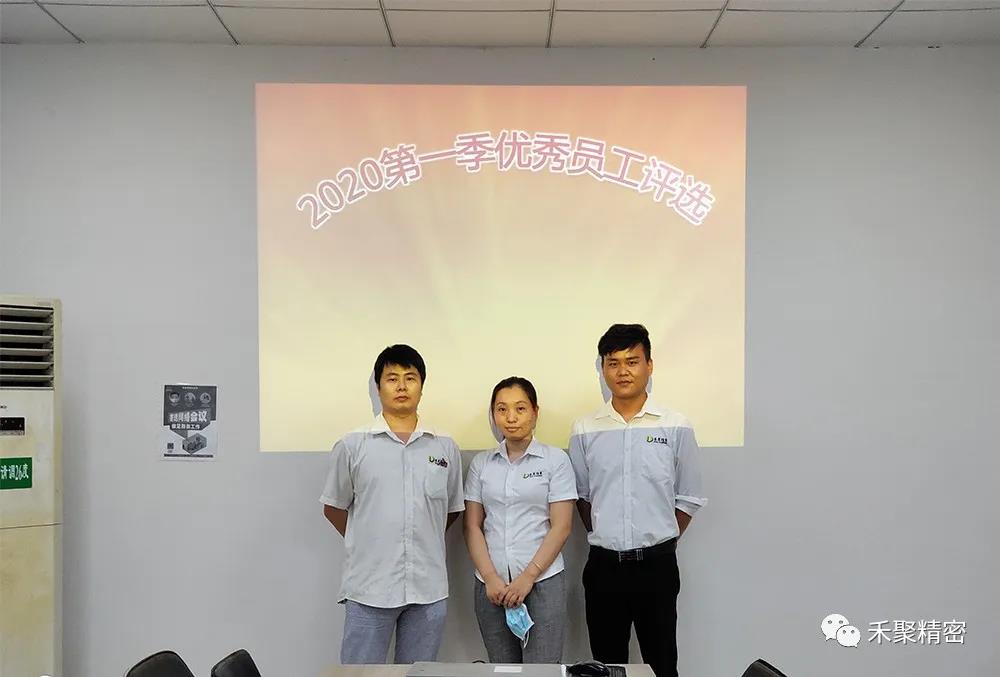金彩公司
